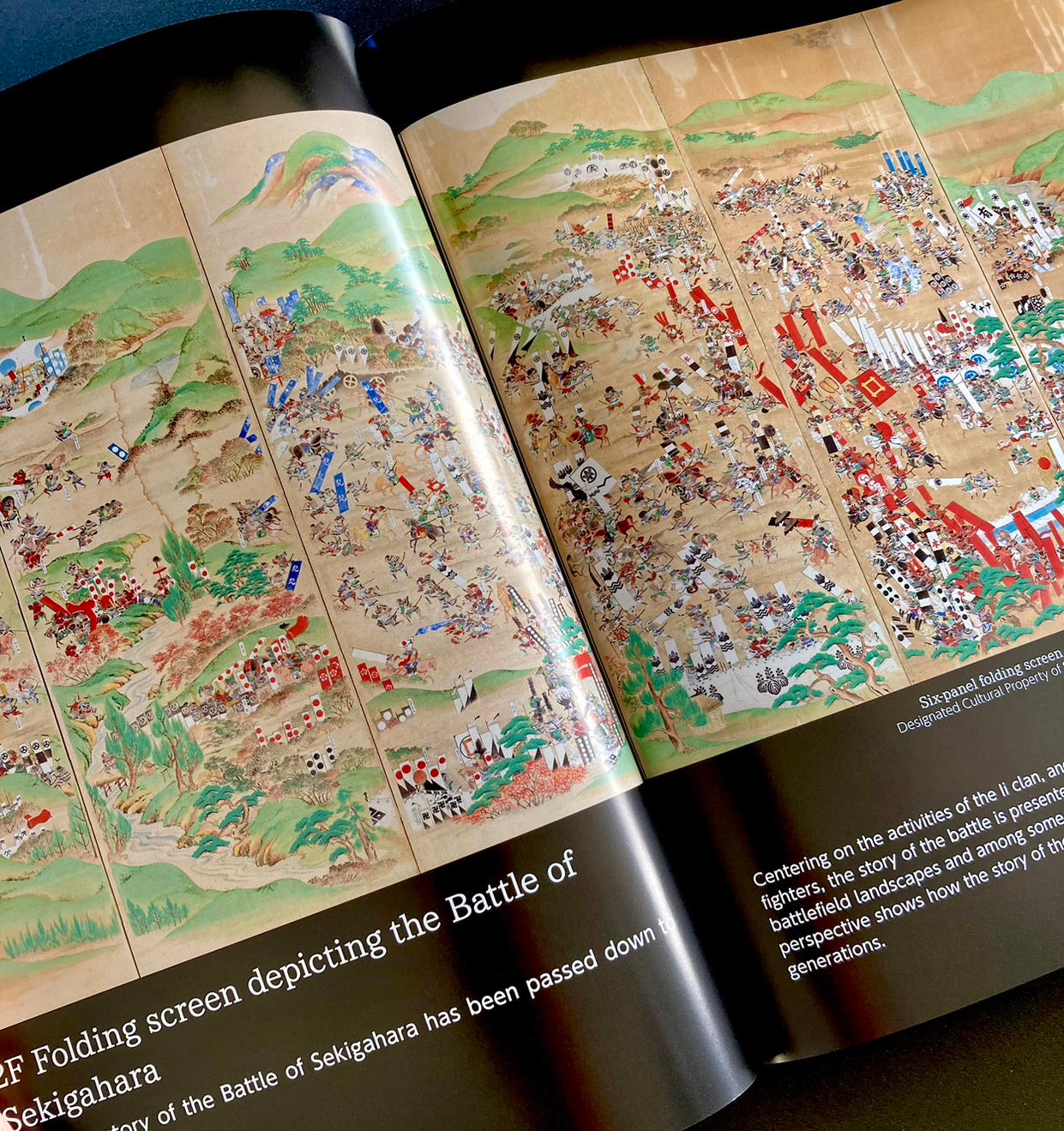 OFFICIAL GUIDE BOOK (Domestic shipping only)