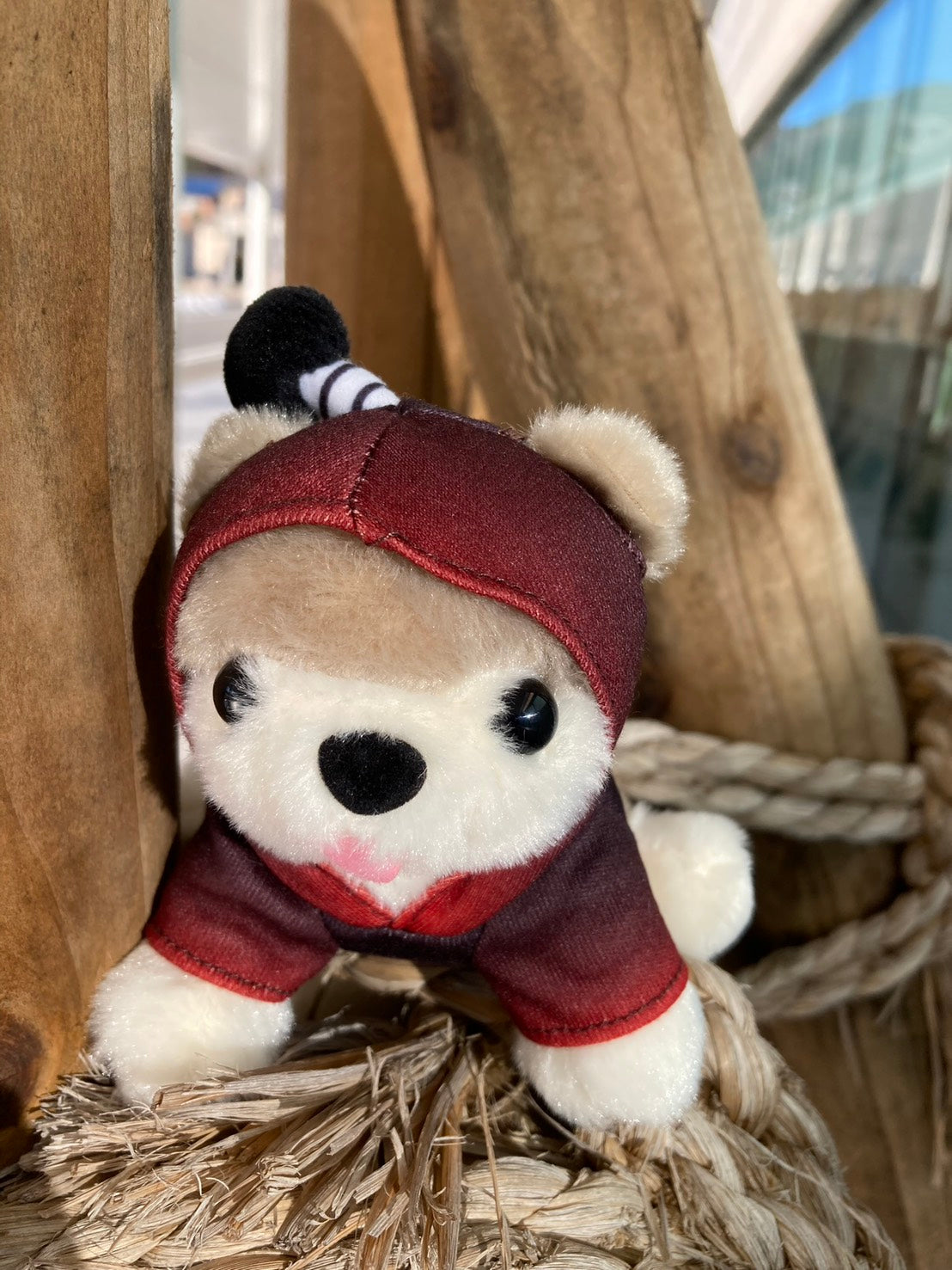 武将わんこ 織田信長